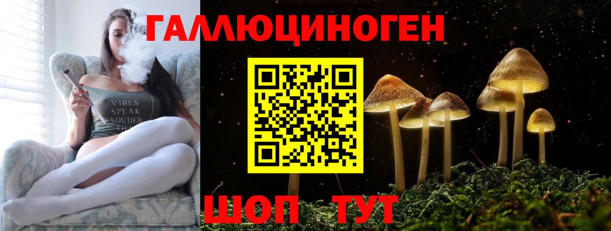 Псилоцибиновые грибы MAGIC MUSHROOMS Арсеньев